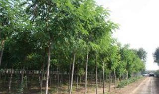 行业关键词 行业关键词