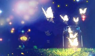 忘不掉你的温柔 忘不掉你的温柔