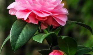 我的祝福你听见了吗 我的祝福你听见了吗