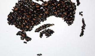 国旗头像制作小程序 国旗头像制作小程序