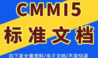 软件开发项目管理 软件开发项目管理